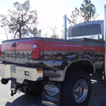 Dobie 13 International