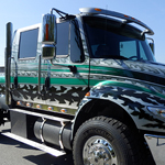 2015 Silver and Green Durastar