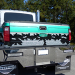 2015 Silver and Green Durastar